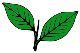 Decorative Leaf